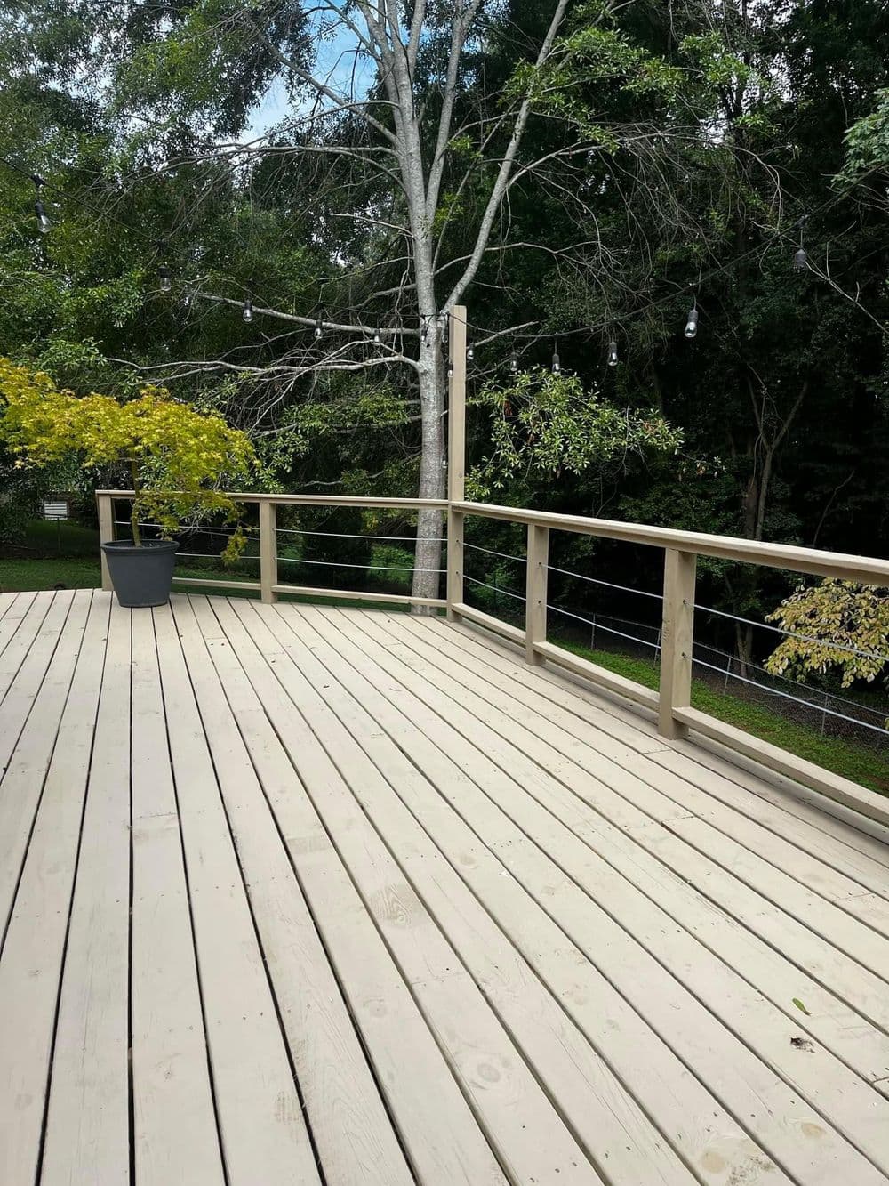 Spacious wooden deck with railing, potted plant, and lush green trees overhead.