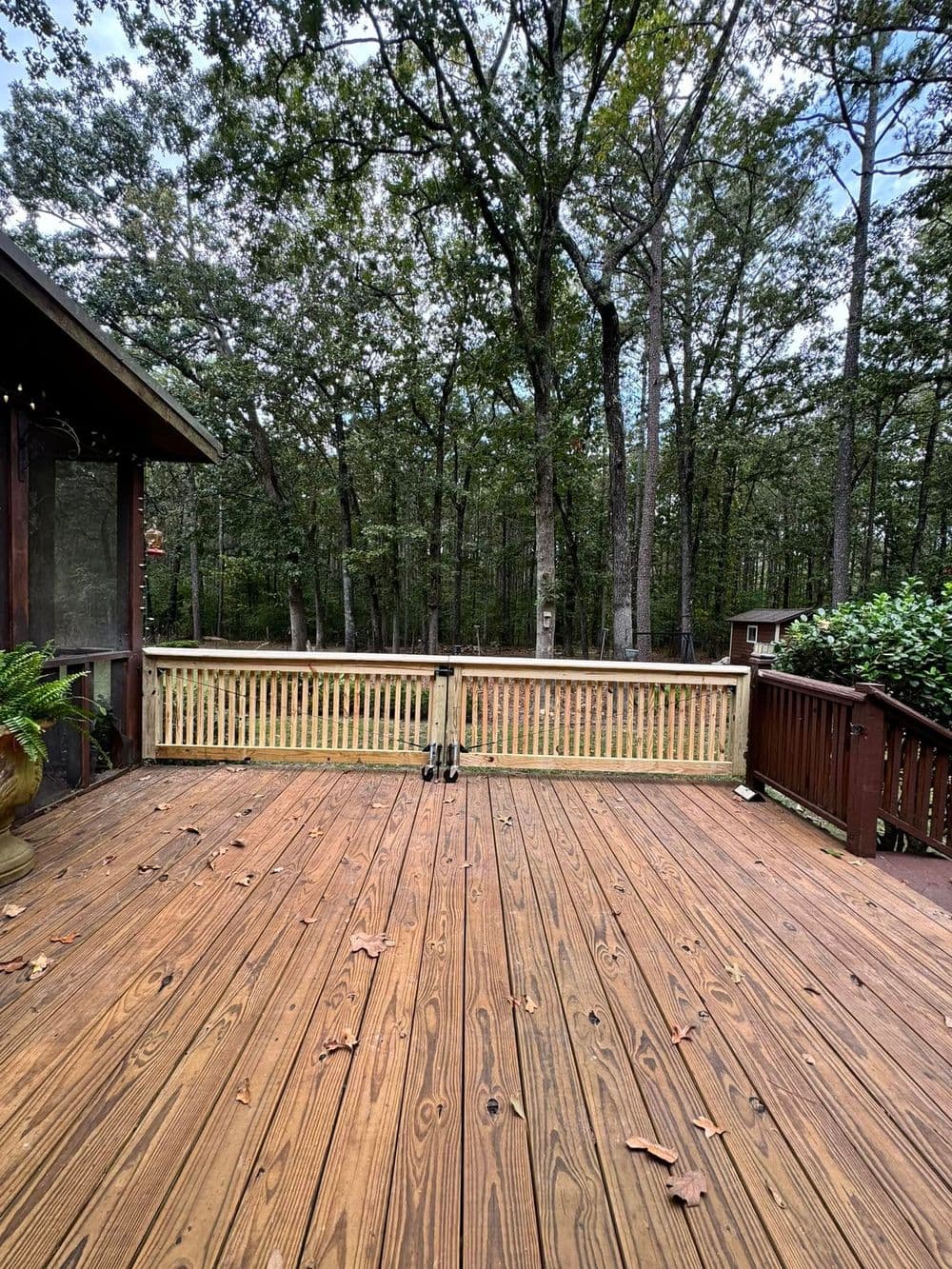 Wooden deck overlooking a forested area with tall trees and a serene natural setting.